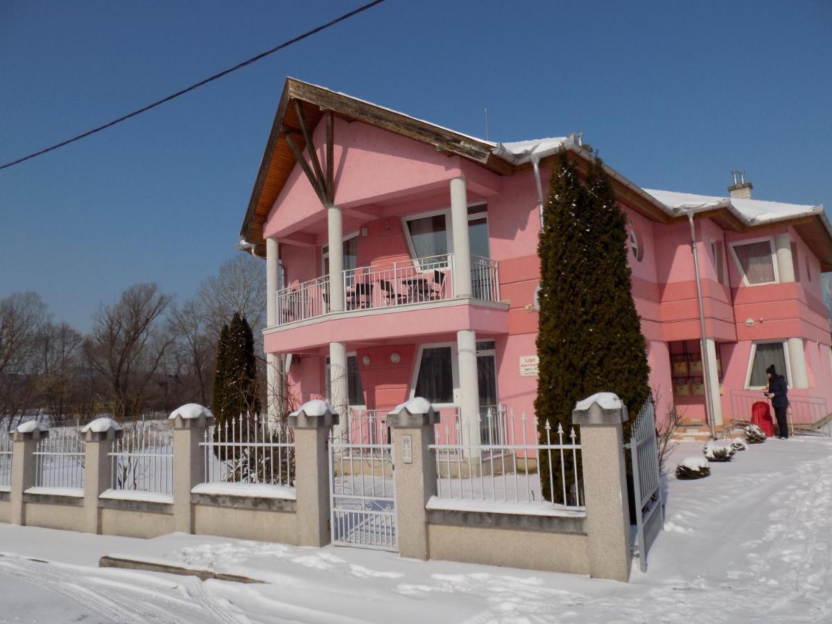 Liget Apartmanhaz Kehidakustany Bagian luar foto